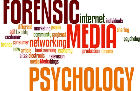 Media Psychology Dissertation